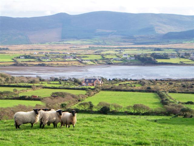 Killurley West, Cahirciveen, County Kerry Ireland