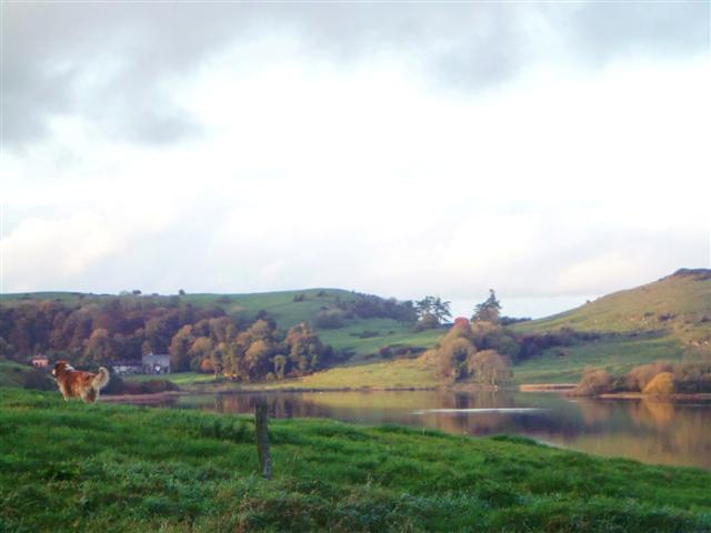 Lough Gur, County Limerick, Ireland